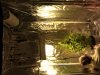 IMG_20110509_202017.jpg