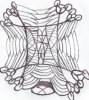 Scan 2.jpeg