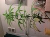 2011-04-08 11.04.03.jpg
