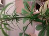 2011-04-08 11.04.45.jpg