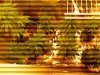 2011-04-08 11.06.56.jpg