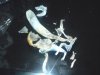 2011-04-24 20.18.55.jpg