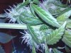 2011-05-04 18.48.45.jpg