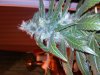 2011-05-10 12.37.23.jpg