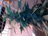 2011-05-10 12.44.27.jpg