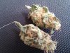 IMG_20110510_163214.jpg