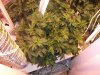 DSCF0364.JPG