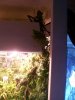 100_3390.jpg