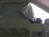 IMG00445-20110512-1640.jpg