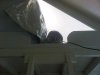 IMG00444-20110512-1640.jpg