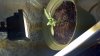 2011-05-13_23-14-51_192.jpg 2011-05-13_23-14-51_192.jpg