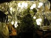lightsetup1.jpg