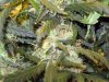 Nug3.jpg