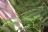 100_1791.jpg