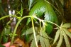 100_1800.jpg 100_1800.jpg
