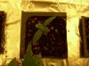 DSCN0648.jpg