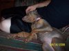 100_5916.jpg