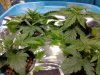 2011-05-13 17.17.38.jpg