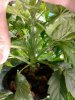 2011-05-15 12.05.11.jpg