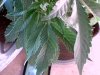 2011-05-15 23-47-24.325.jpg
