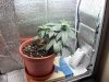 100_0726.jpg