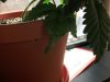 100_0710.jpg