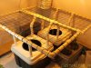 SCROG.jpg SCROG.jpg