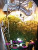 100_2740.jpg