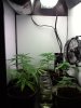 20110516221257.jpg 20110516221257.jpg