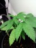 20110516221213.jpg 20110516221213.jpg