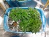 2011-05-17 17.17.18.jpg
