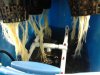 2011-05-17 17.53.48.jpg