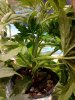 2011-05-17 17.20.22.jpg