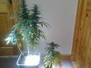 18052011196.jpg