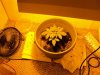 DSC00210.jpg