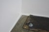 IMG_8203.jpg IMG_8203.jpg