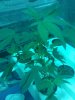 IMG_20110520_181018.jpg