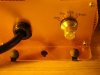 DSC01074.jpg