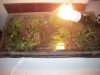 grow 004.jpg