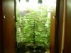 mary jane bowlsome 028.jpg