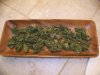 harvest 010.jpg