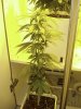54_days-4.jpg