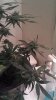 IMAG0030.jpg
