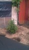 IMAG0576.jpg