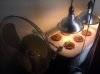 IMG_20110525_060704.jpg