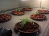 IMG_20110525_060653.jpg