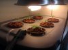 IMG_20110525_060647.jpg