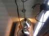 IMG_20110525_060724.jpg