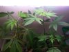 IMG-20110525-00054.jpg