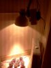 IMG_20110525_191401.jpg